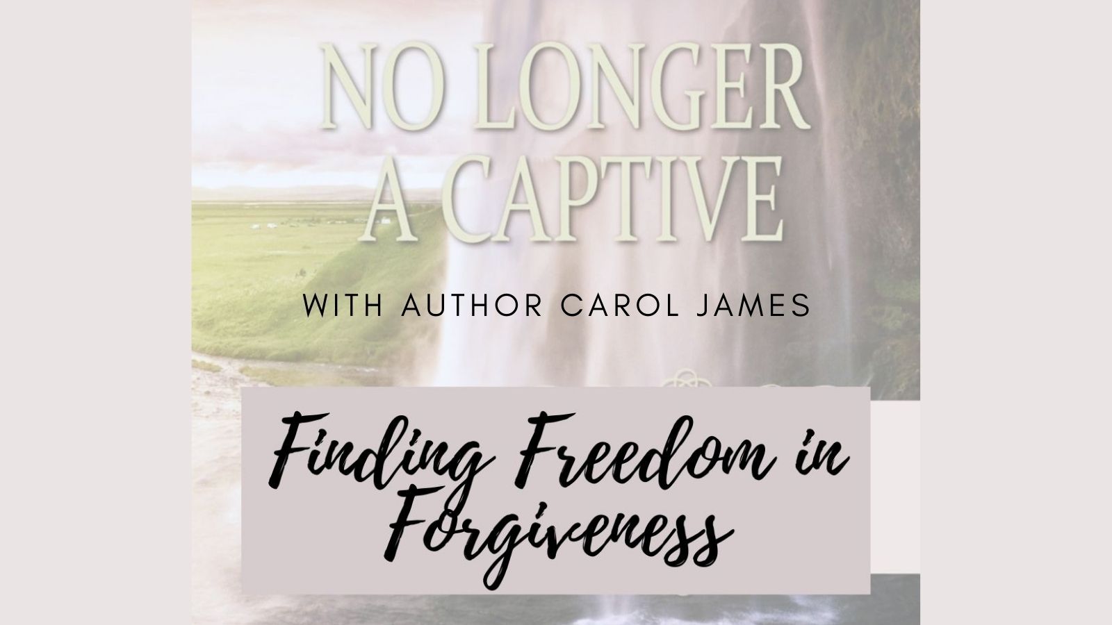 Finding Freedom In Forgiveness Stacey Weeks