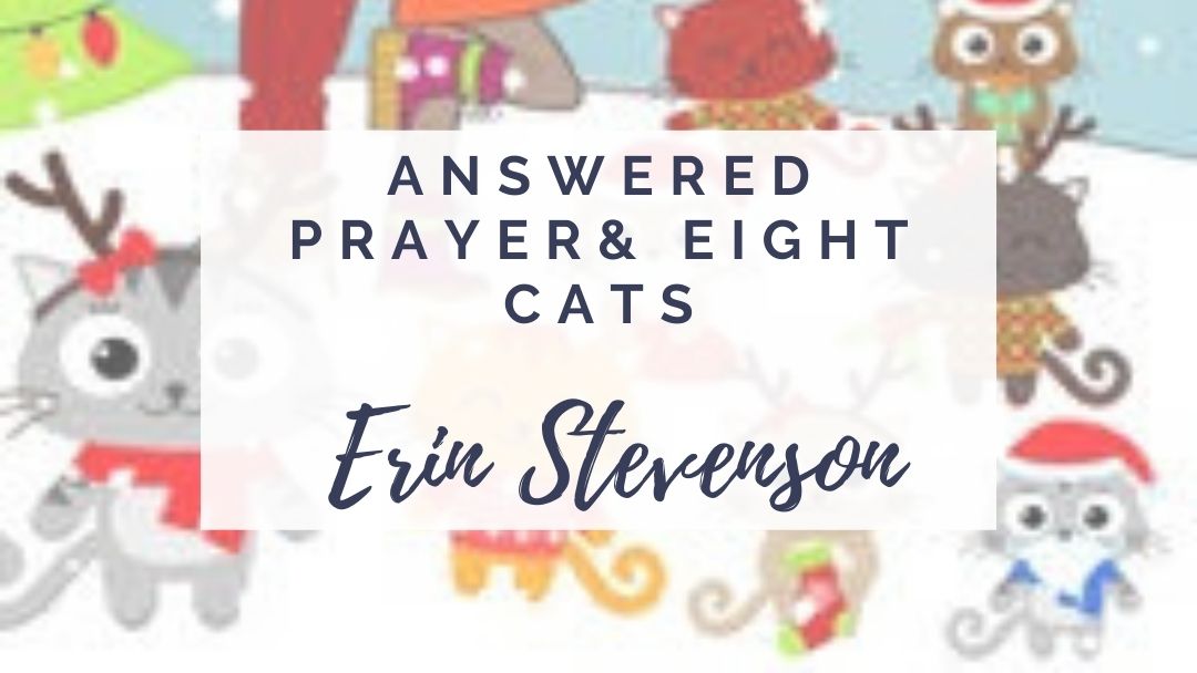 Answered Prayer and Eight Cats by Erin Stevenson